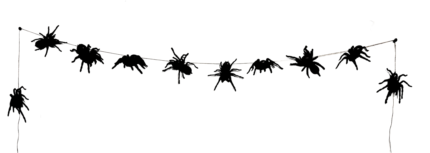 The Tarantula Spider Garland